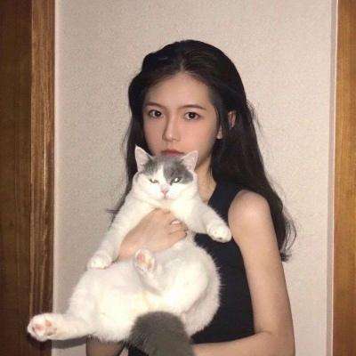 塔防志游戏